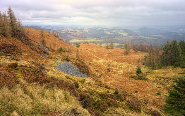 A few outcrops of slate from previous quarrying activity on Birnam Hill. The Highland Boundary Fault runs a hundred yards to the right of this shot, emerging in the middle distance and turning right at the foothills of the distant hills.