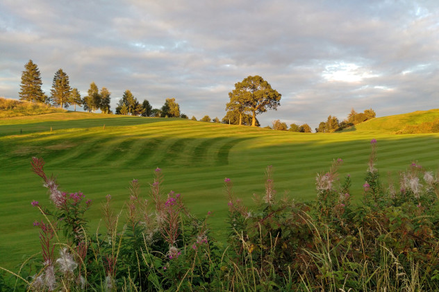 Low evening sunlight on Craigie golf-course