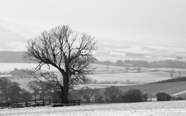 Landscape above Forteviot on a snowy winter day.