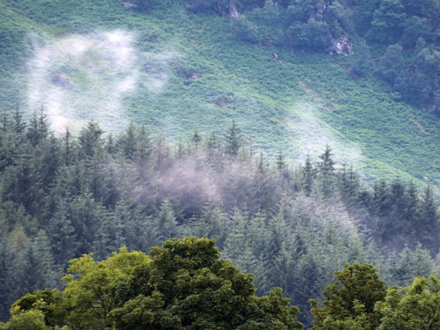 Small clouds of mist above the forests on the slopes of Bioran Beag