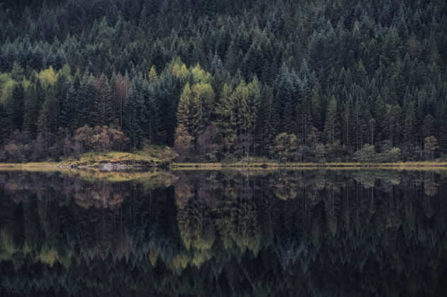 I've been meaning to go check out the reflections in Loch Chon for a few years, having seen other folks' results. It was quite calm - didn't disappoint :)