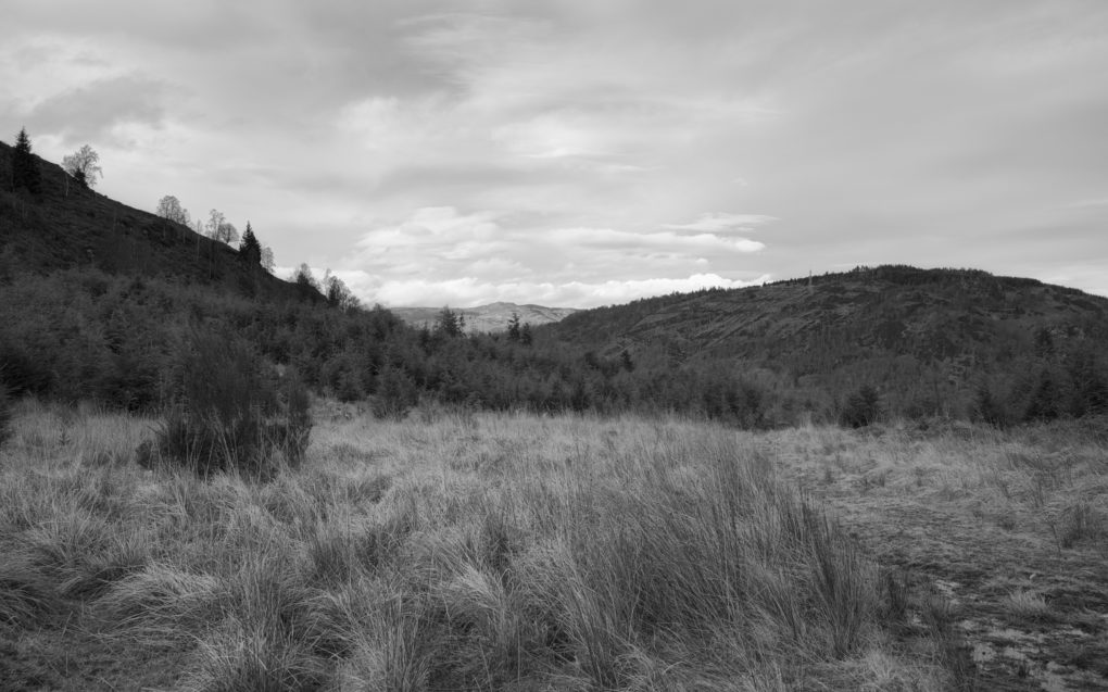 Highland Boundary Fault, Birnam Hill