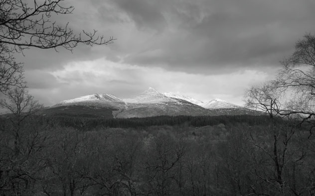 Ben Cruachan dominates the landscape around - this was taken from Glen Nant looking over the trees to the snow-capped mountain beyond